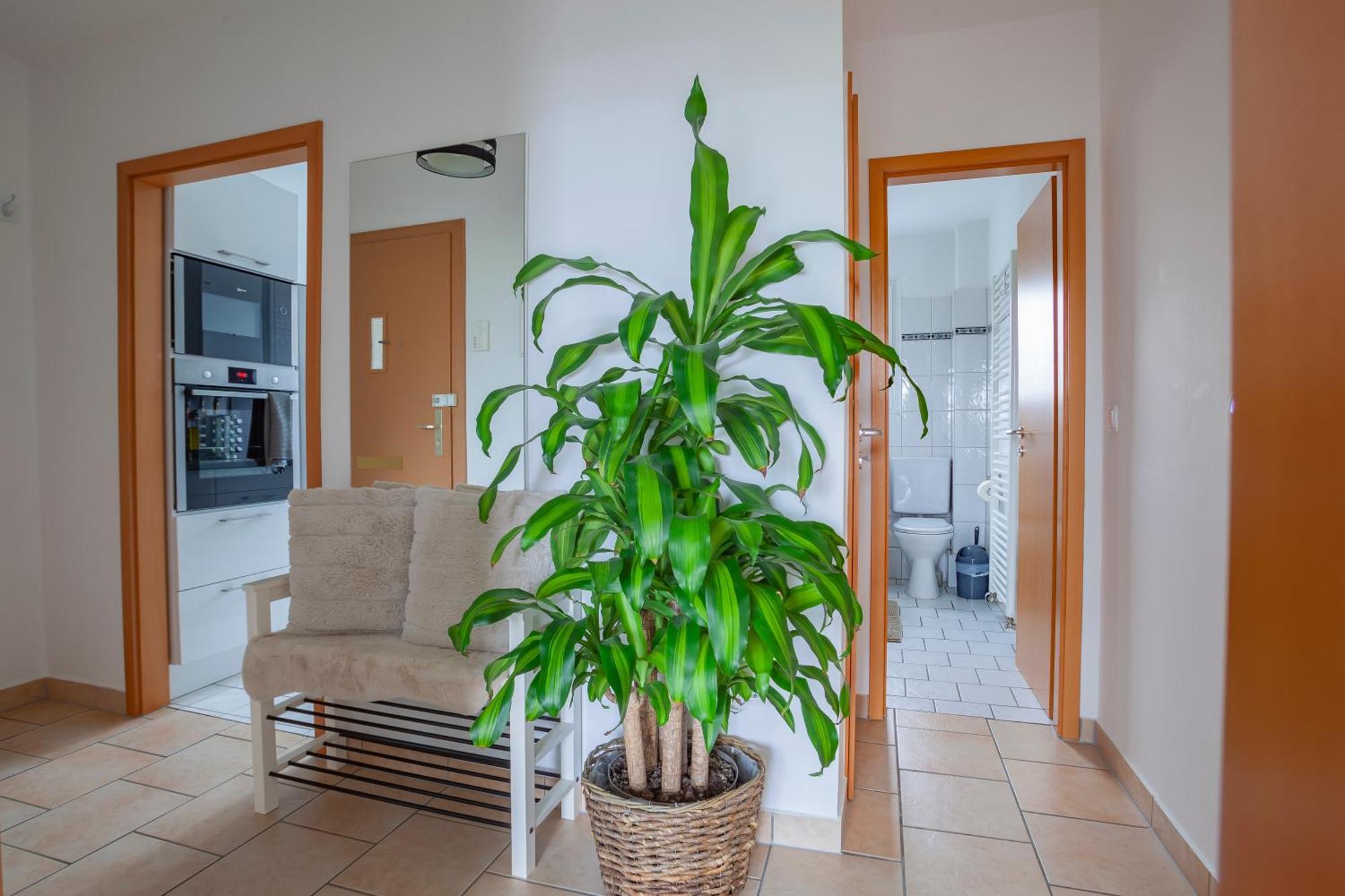 Exclusive 2-Room-City-Apartment - Contactless Check-In Hanovre Extérieur photo